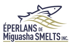 Éperlans de Miguasha Smelts